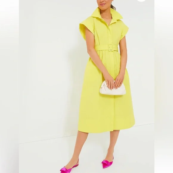 TUCKERNUCK Citron Chloe Dress SMALL - Picture 7 of 13